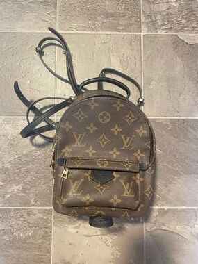 LV Monogram Palm Springs Mini Backpack